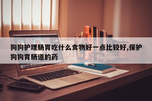 狗狗护理肠胃吃什么食物好一点比较好,保护狗狗胃肠道的药