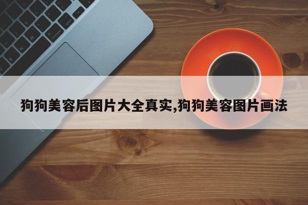 狗狗美容后图片大全真实,狗狗美容图片画法