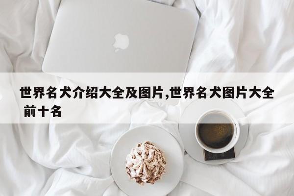 世界名犬介绍大全及图片,世界名犬图片大全 前十名