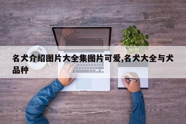 名犬介绍图片大全集图片可爱,名犬大全与犬品种