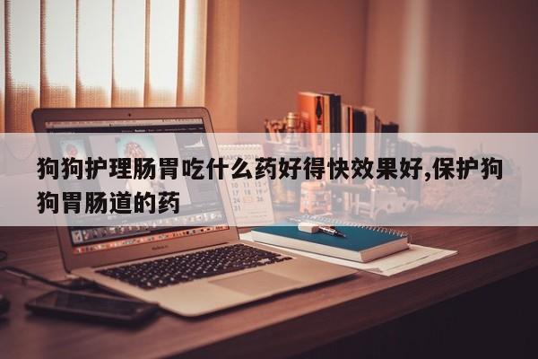 狗狗护理肠胃吃什么药好得快效果好,保护狗狗胃肠道的药