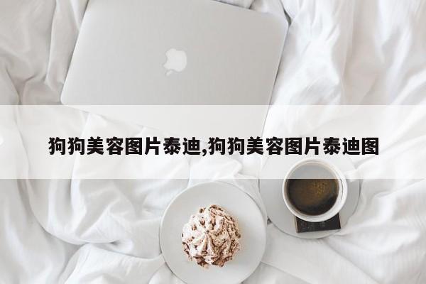 狗狗美容图片泰迪,狗狗美容图片泰迪图