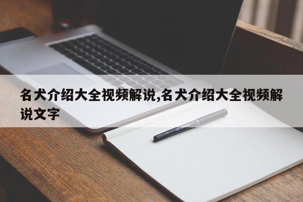 名犬介绍大全视频解说,名犬介绍大全视频解说文字