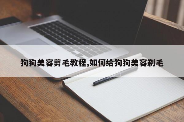 狗狗美容剪毛教程,如何给狗狗美容剃毛