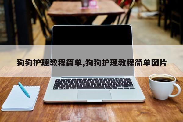 狗狗护理教程简单,狗狗护理教程简单图片