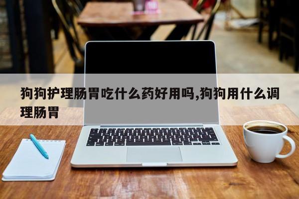 狗狗护理肠胃吃什么药好用吗,狗狗用什么调理肠胃