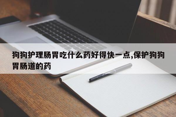狗狗护理肠胃吃什么药好得快一点,保护狗狗胃肠道的药