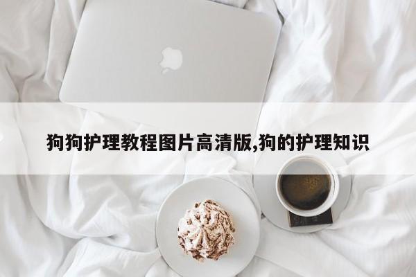 狗狗护理教程图片高清版,狗的护理知识