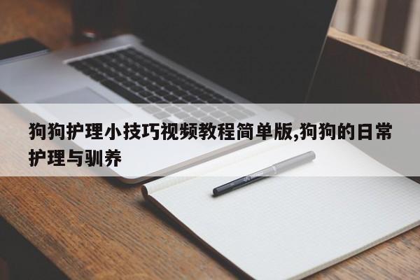 狗狗护理小技巧视频教程简单版,狗狗的日常护理与驯养