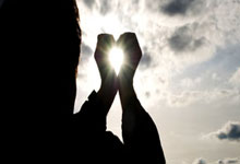 世界名犬介绍及图片大全视频讲解,世界名犬图片大全排行 前十名