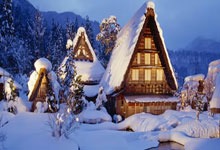 世界名犬介绍及图片大全视频讲解,世界名犬图片大全排行 前十名