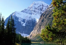 世界名犬介绍及图片大全视频讲解,世界名犬图片大全排行 前十名