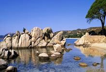 狗狗美容师怎么考证需要多少钱,狗狗美容师需要什么条件